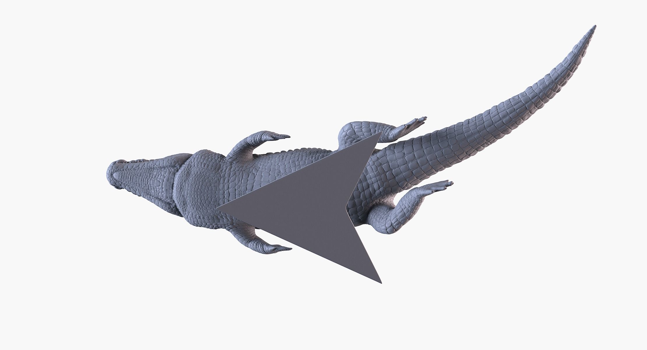 Crocodile 3D Printing 3D print model_10