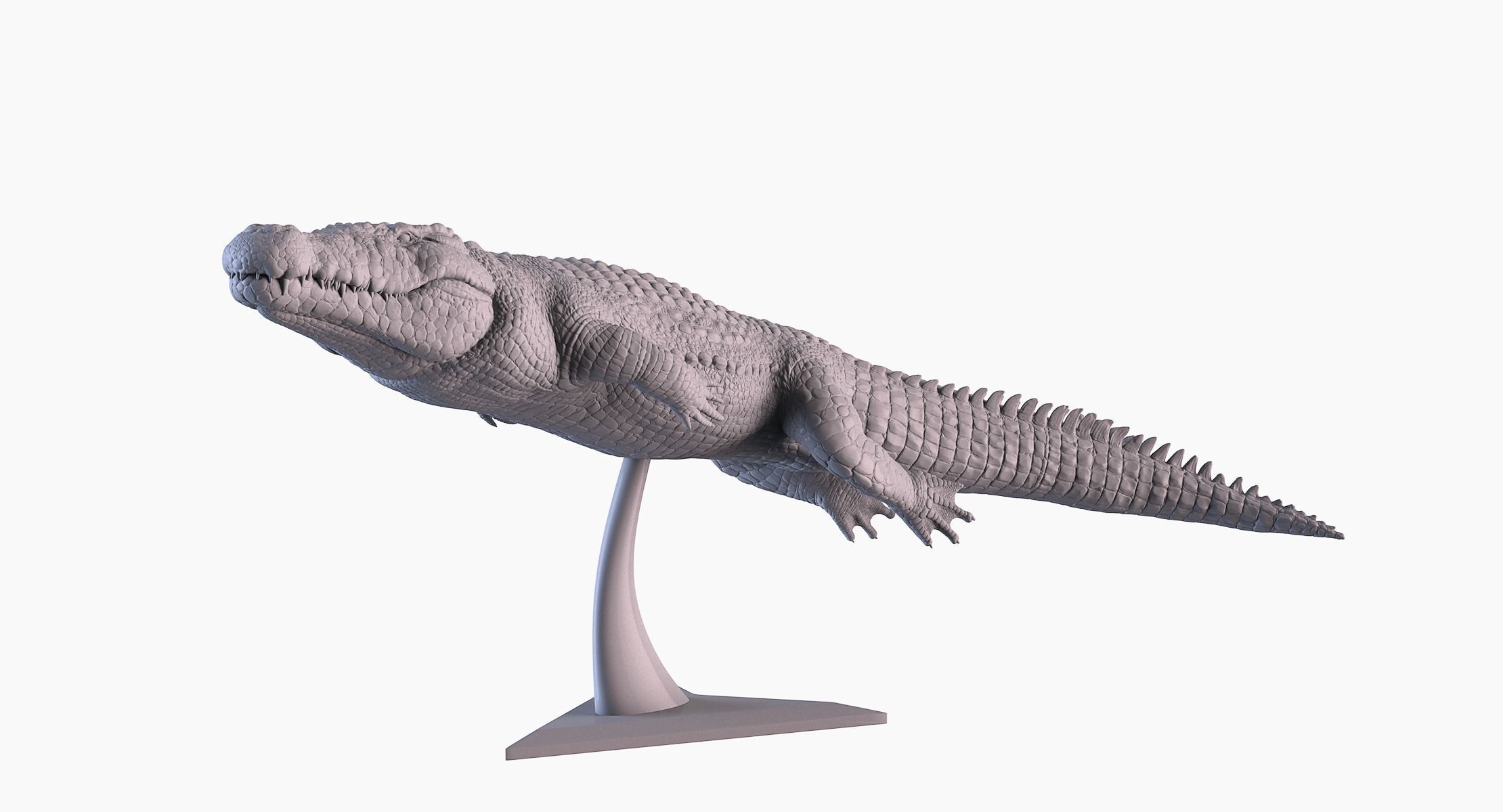 Crocodile 3D Printing 3D print model_2