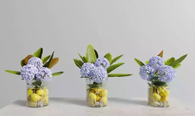 Hydrangeas Lemon Vase