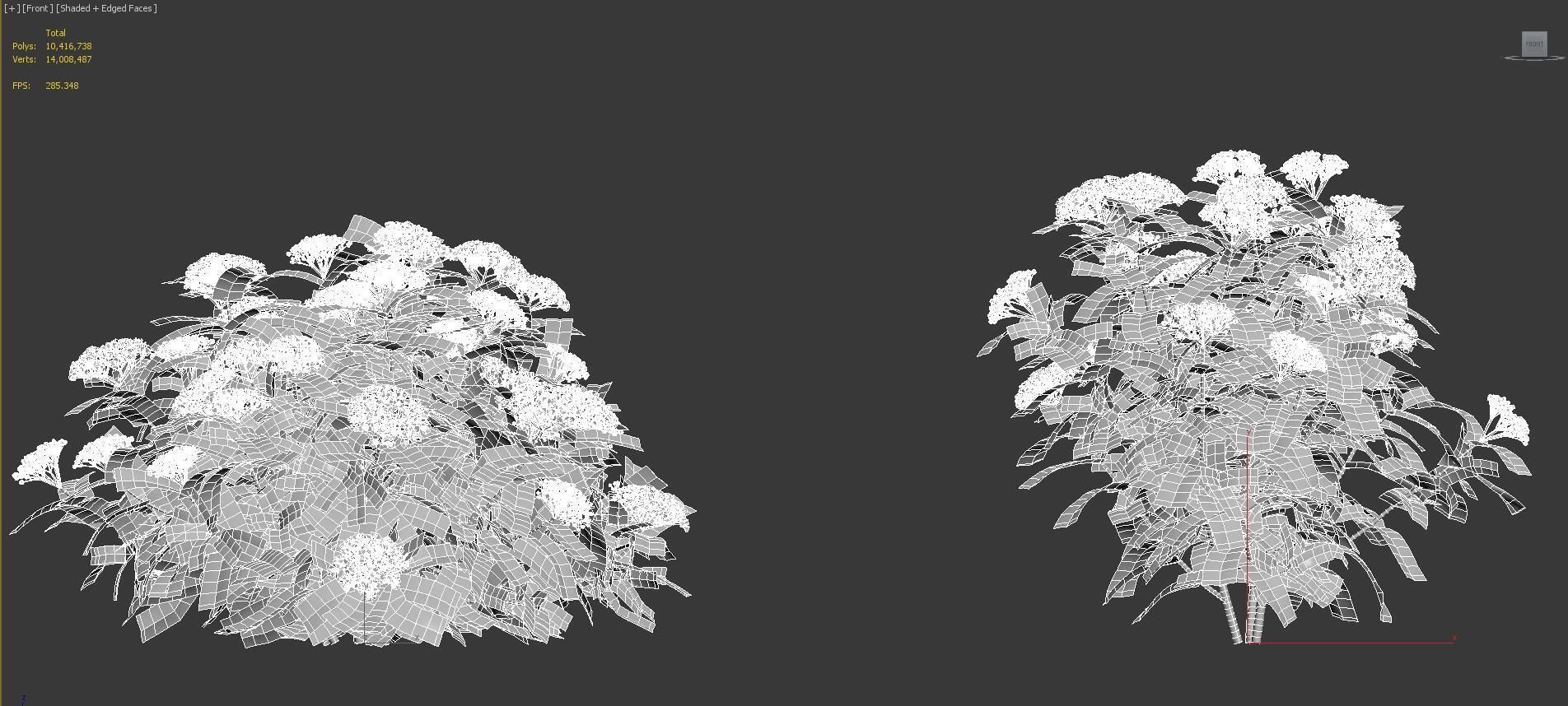 Mediterranean garden plants - Include GrowFX and Mesh file  3D model_55