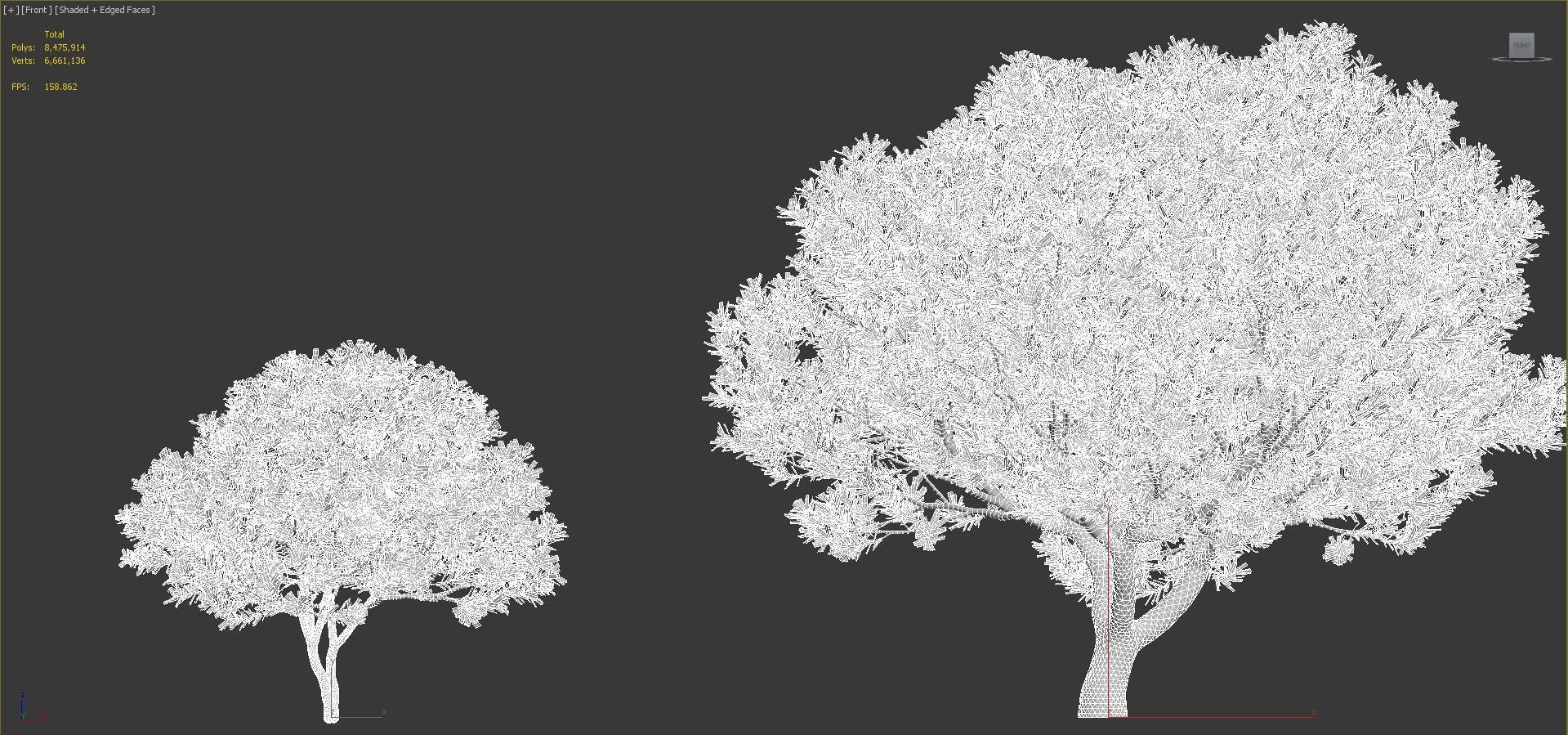 Mediterranean garden plants - Include GrowFX and Mesh file  3D model_48