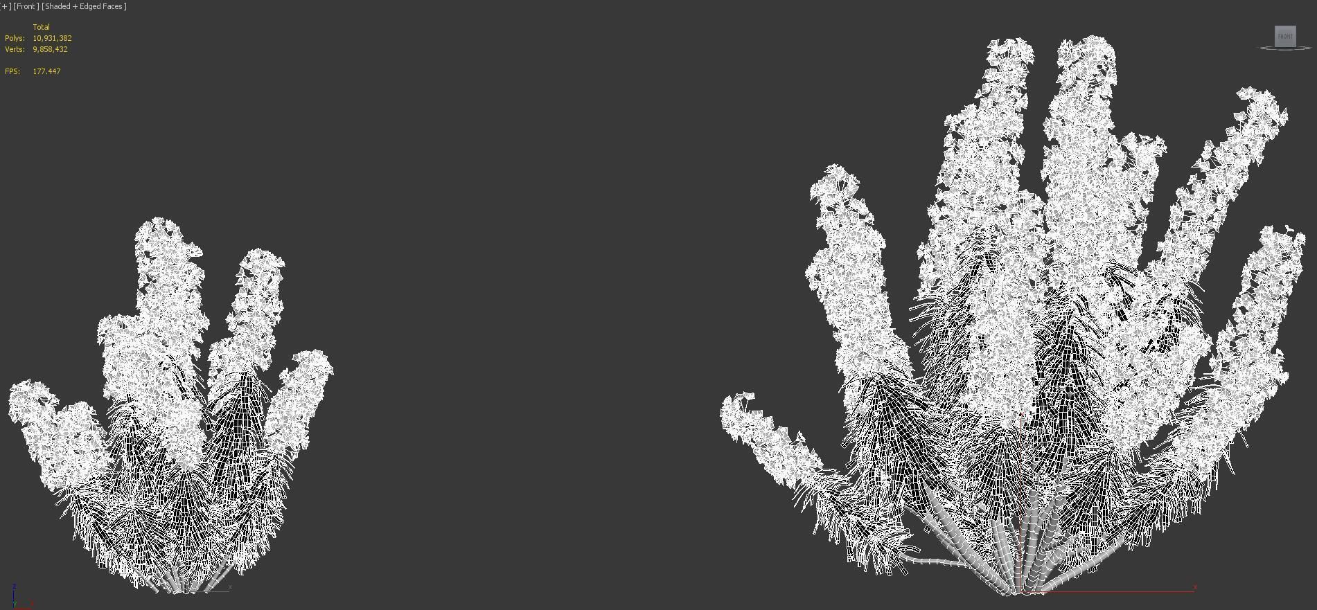 Mediterranean garden plants - Include GrowFX and Mesh file  3D model_37