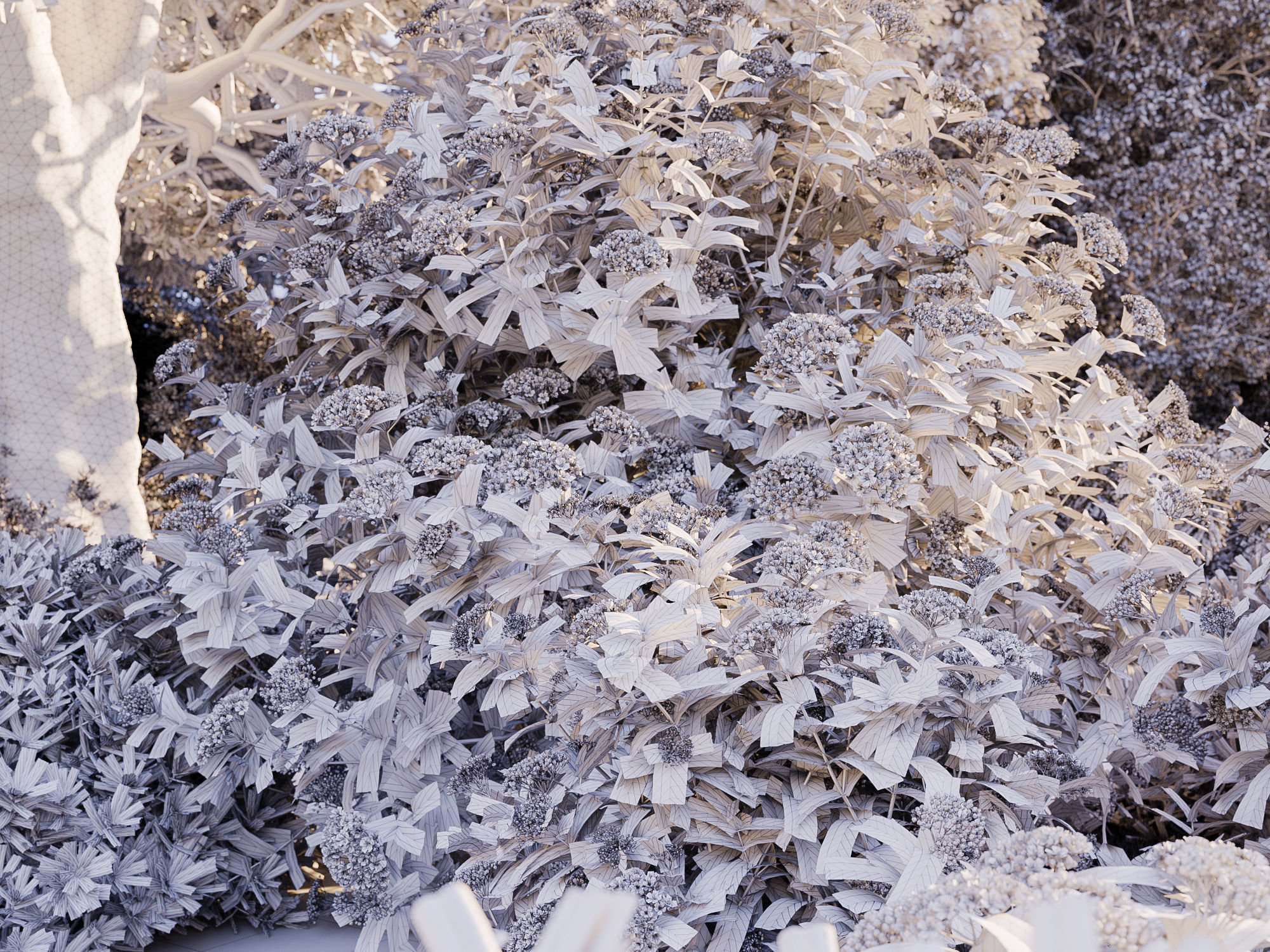 Mediterranean garden plants - Include GrowFX and Mesh file  3D model_6