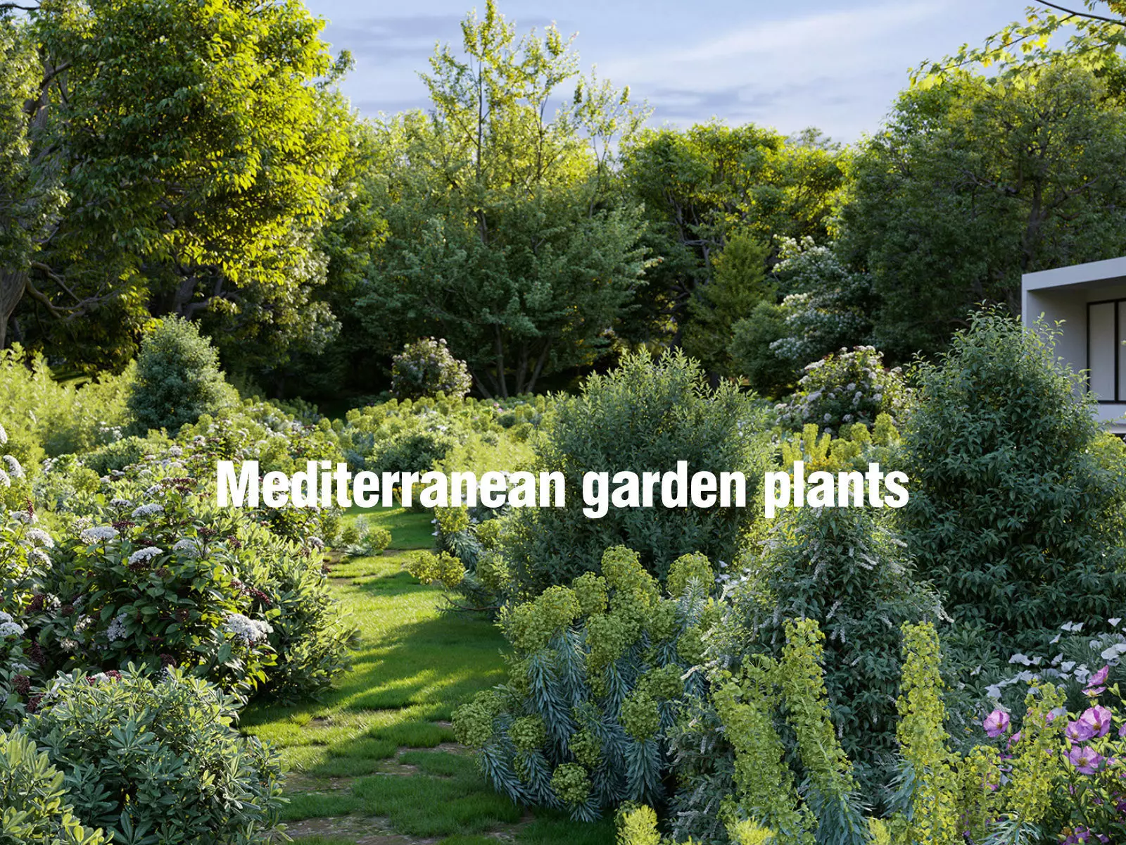 Mediterranean garden plants - Include GrowFX and Mesh file 3D model_0