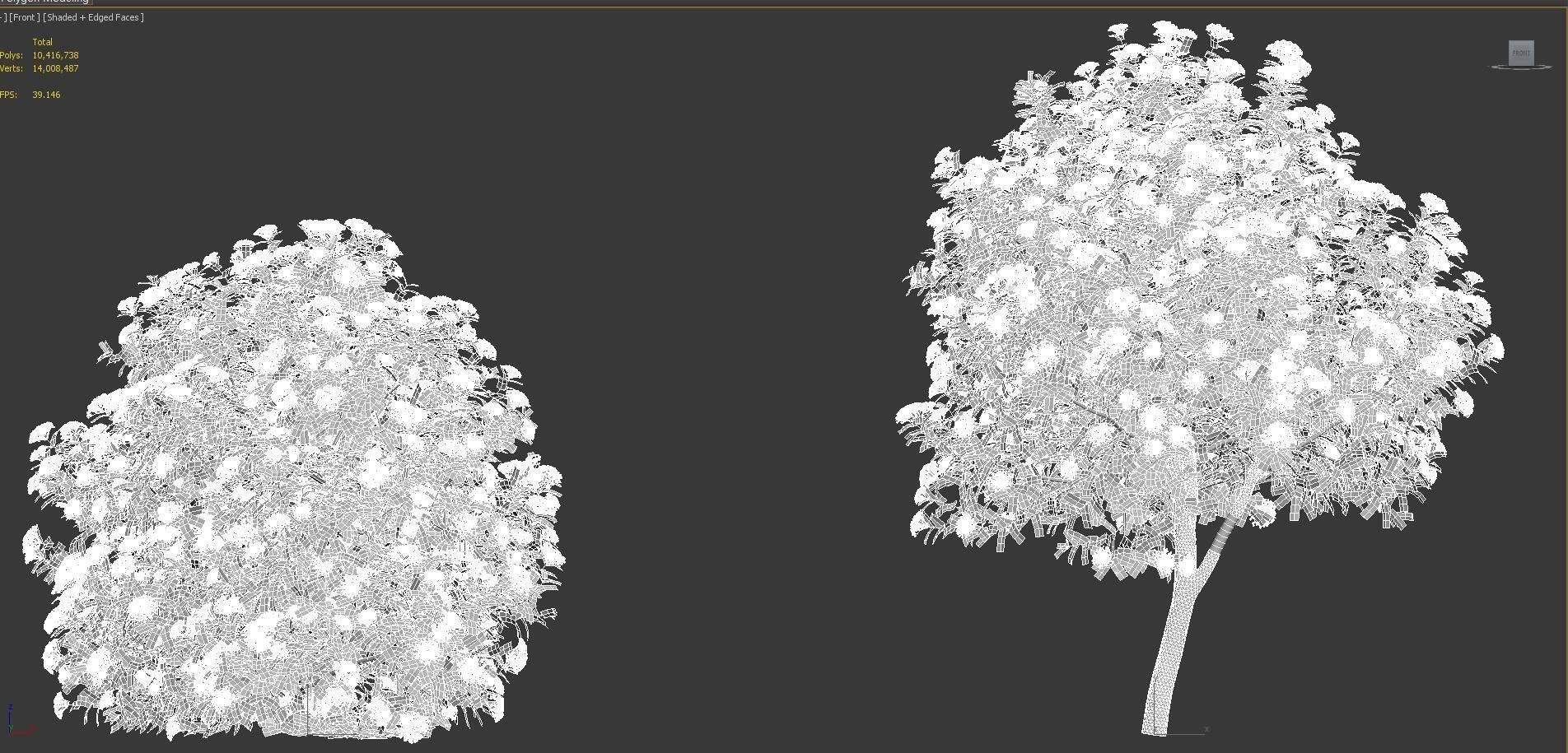 Mediterranean garden plants - Include GrowFX and Mesh file  3D model_57