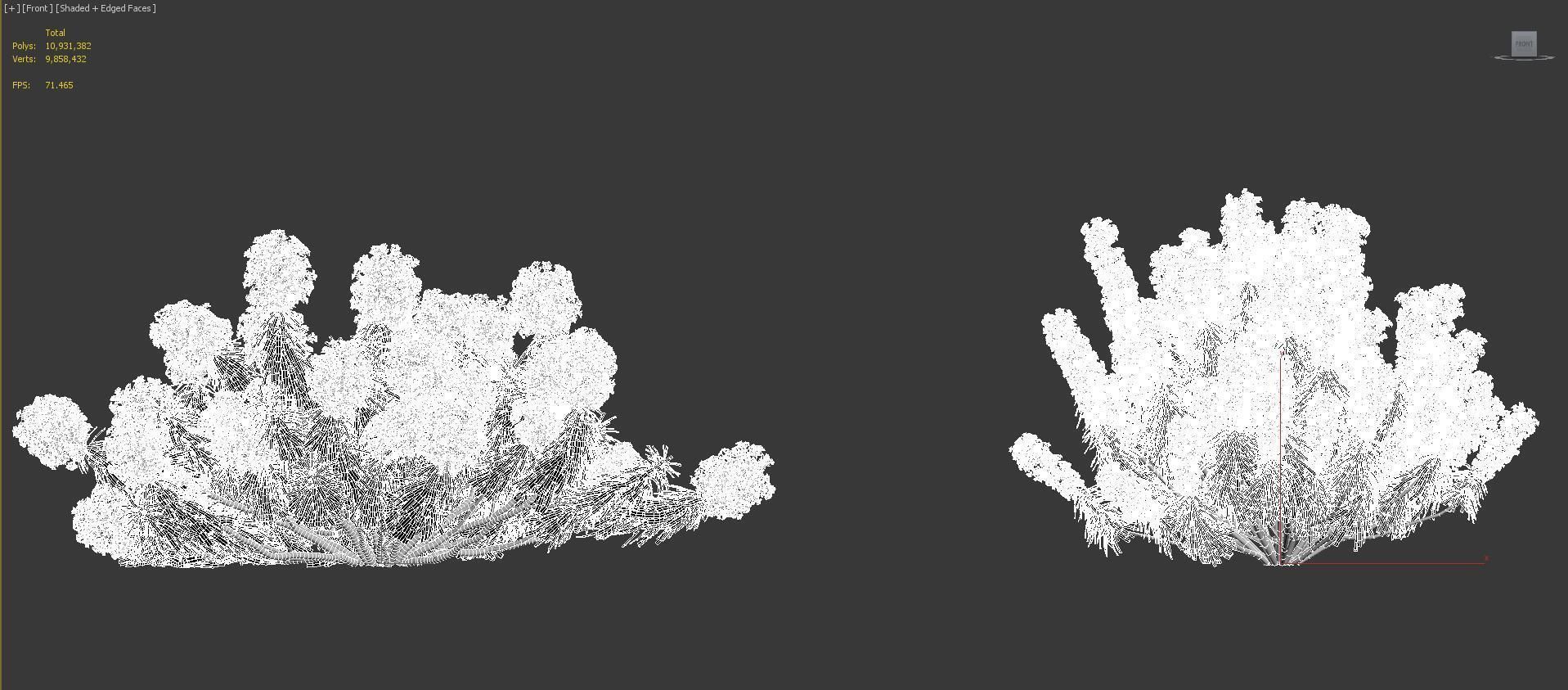 Mediterranean garden plants - Include GrowFX and Mesh file  3D model_38