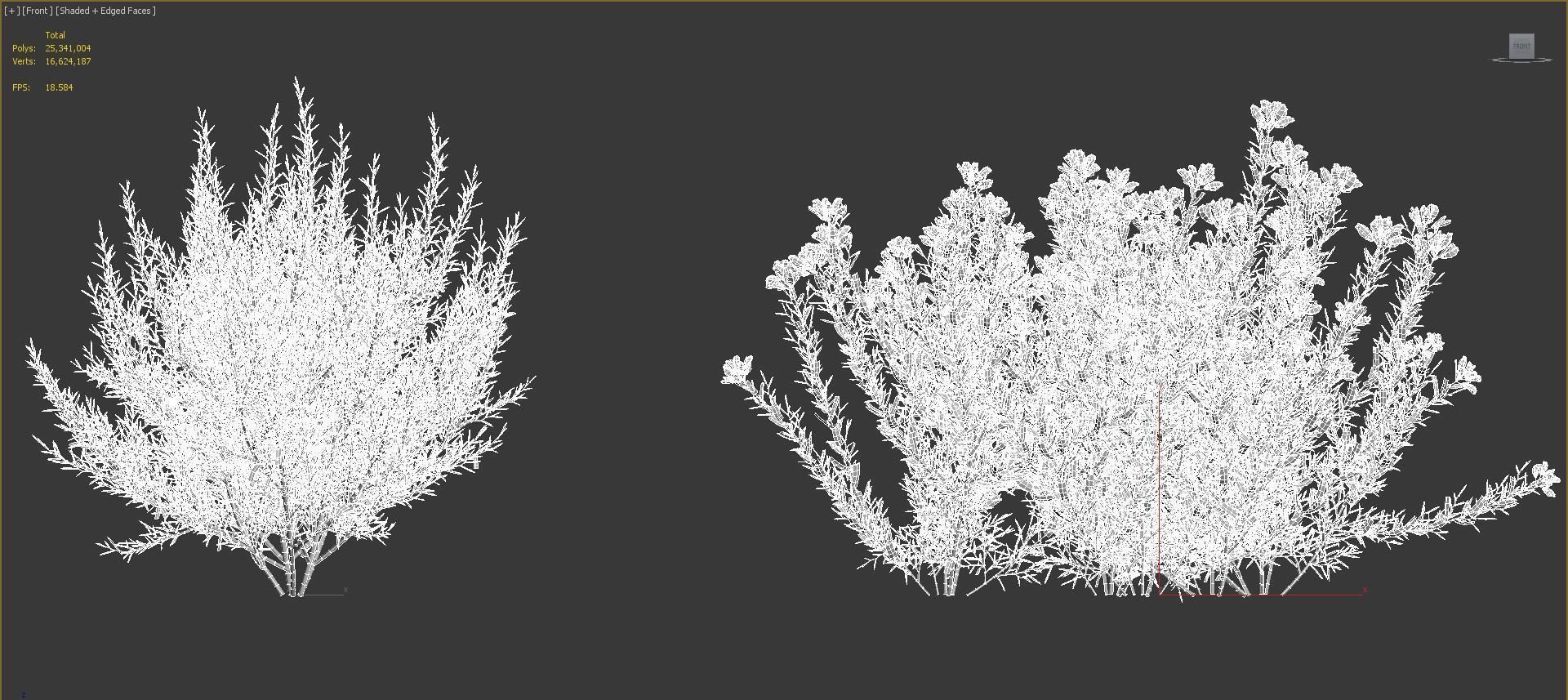 Mediterranean garden plants - Include GrowFX and Mesh file  3D model_40