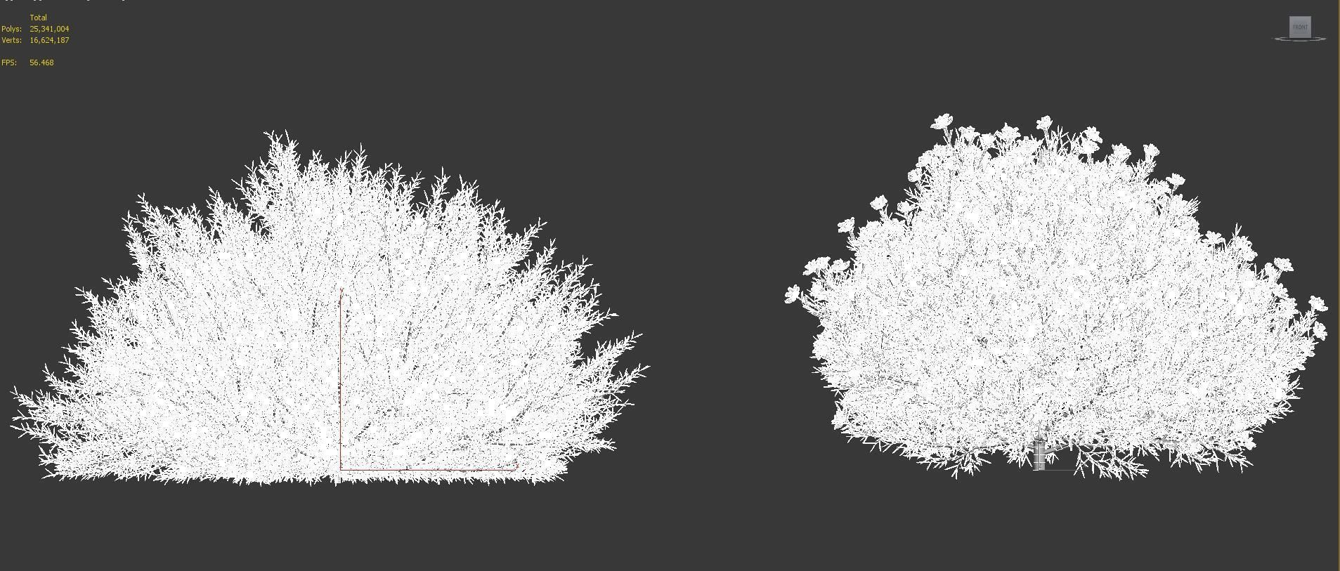 Mediterranean garden plants - Include GrowFX and Mesh file  3D model_41