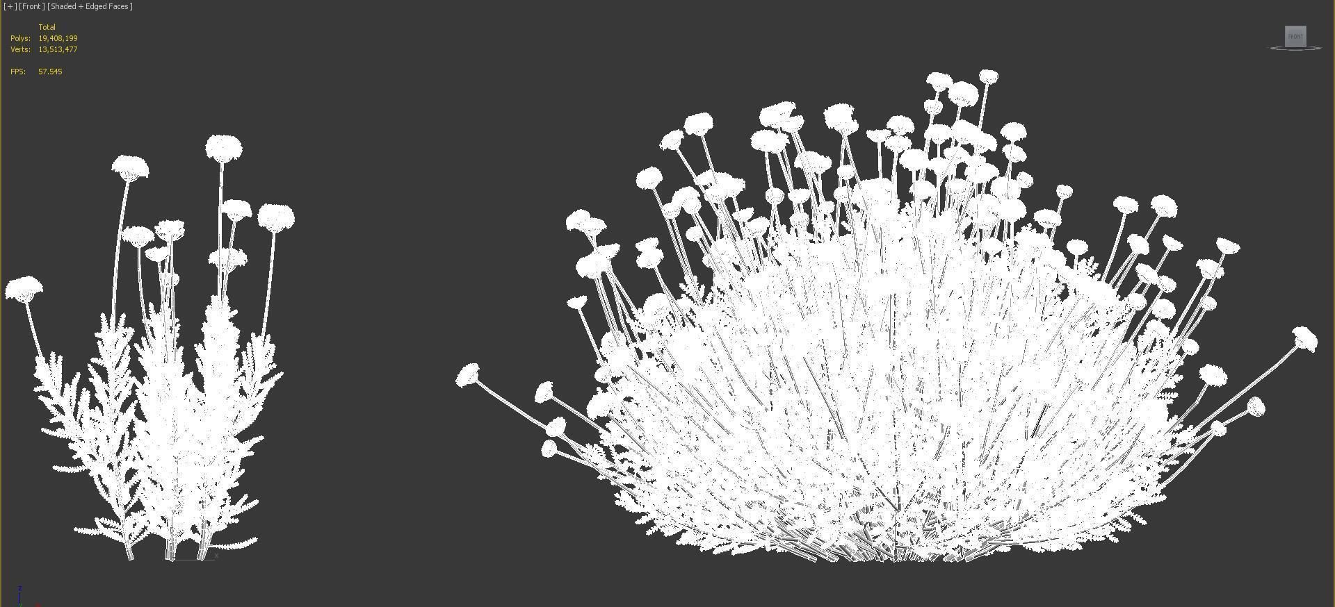 Mediterranean garden plants - Include GrowFX and Mesh file  3D model_54