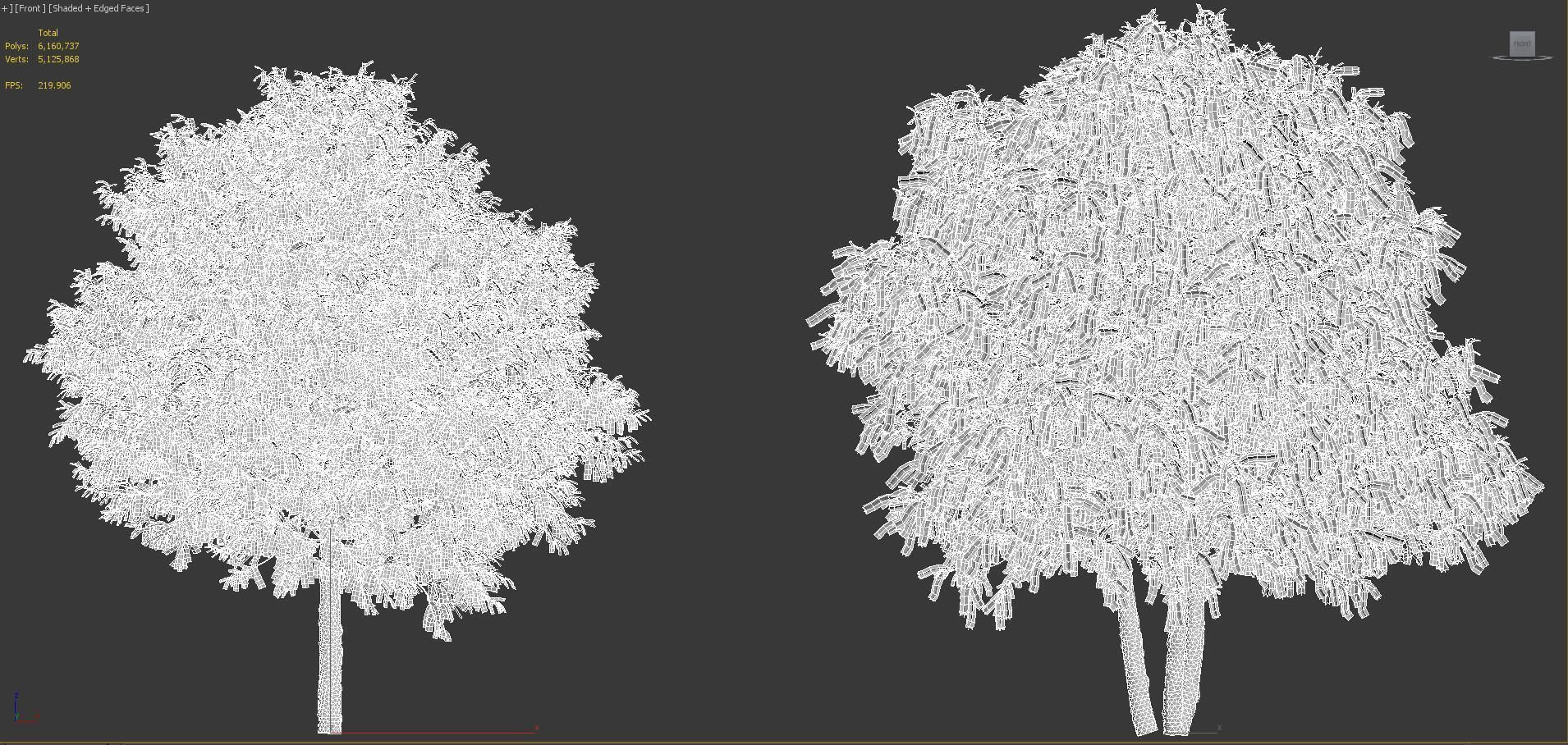 Mediterranean garden plants - Include GrowFX and Mesh file  3D model_51