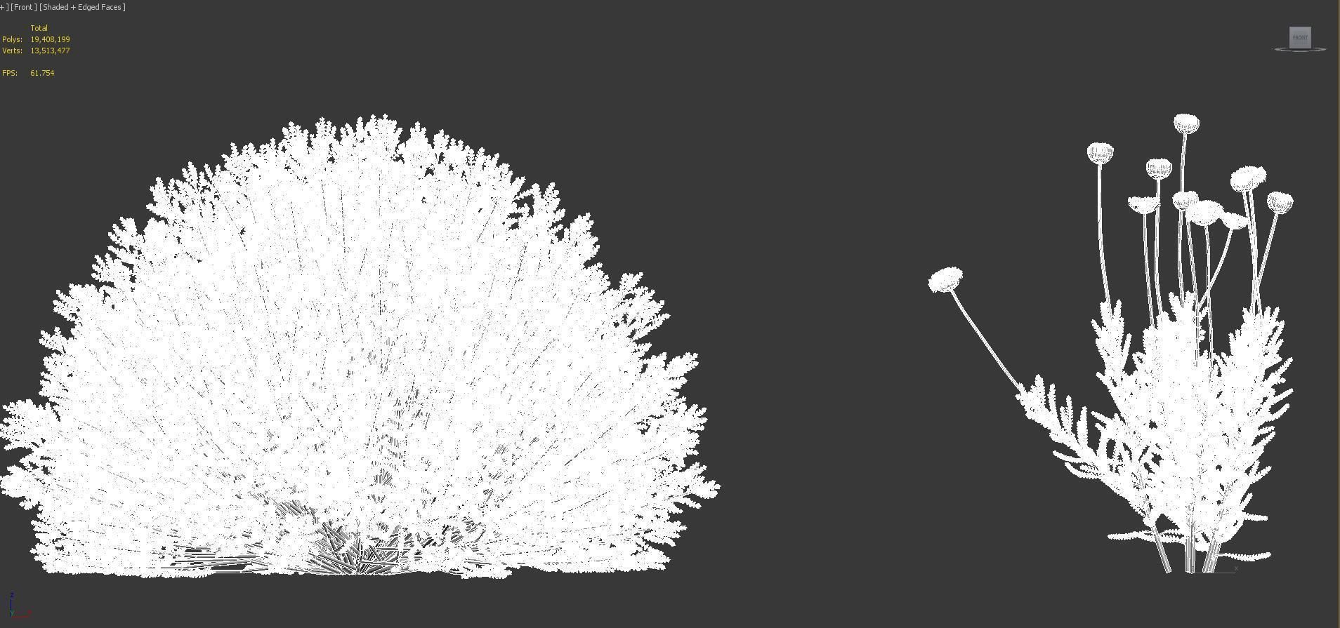 Mediterranean garden plants - Include GrowFX and Mesh file  3D model_53