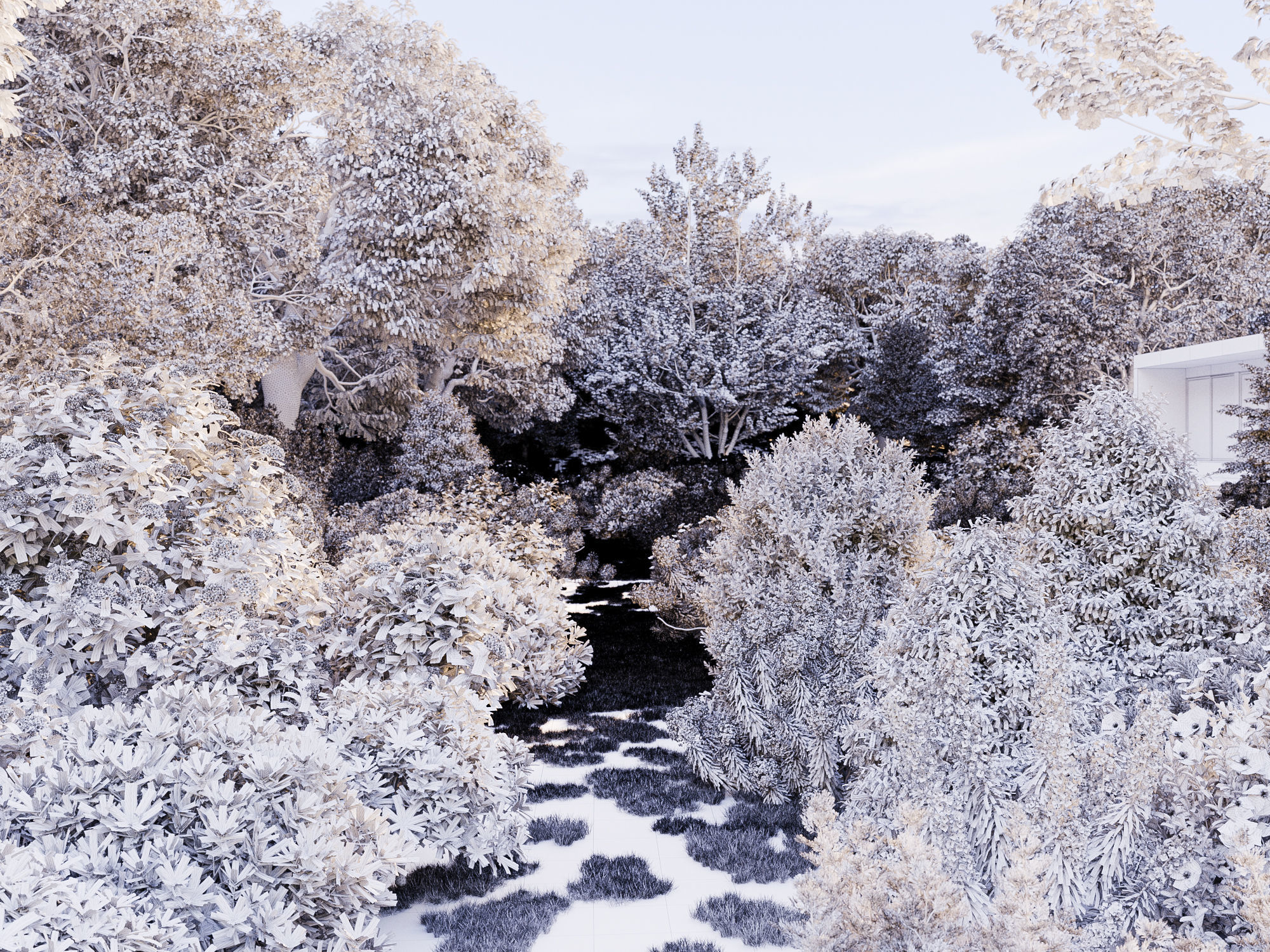 Mediterranean garden plants - Include GrowFX and Mesh file  3D model_4