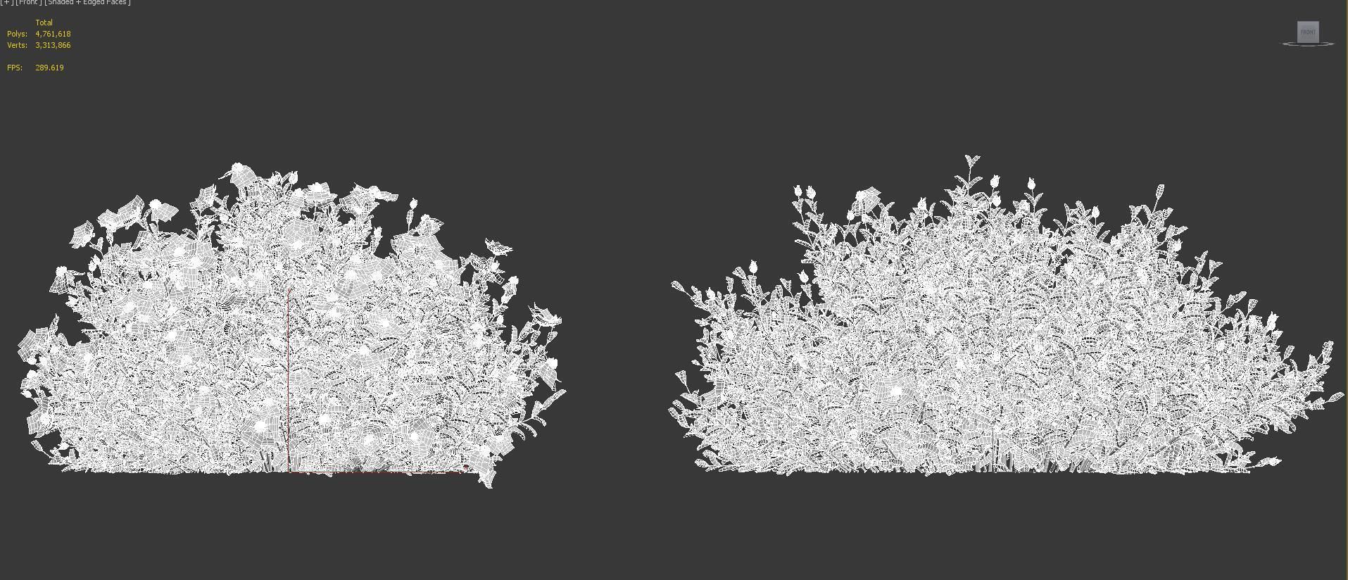 Mediterranean garden plants - Include GrowFX and Mesh file  3D model_33