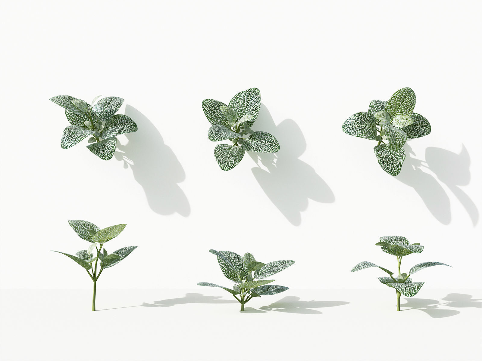 Green wall Collection - Include GrowFX and Mesh file 3D model_35