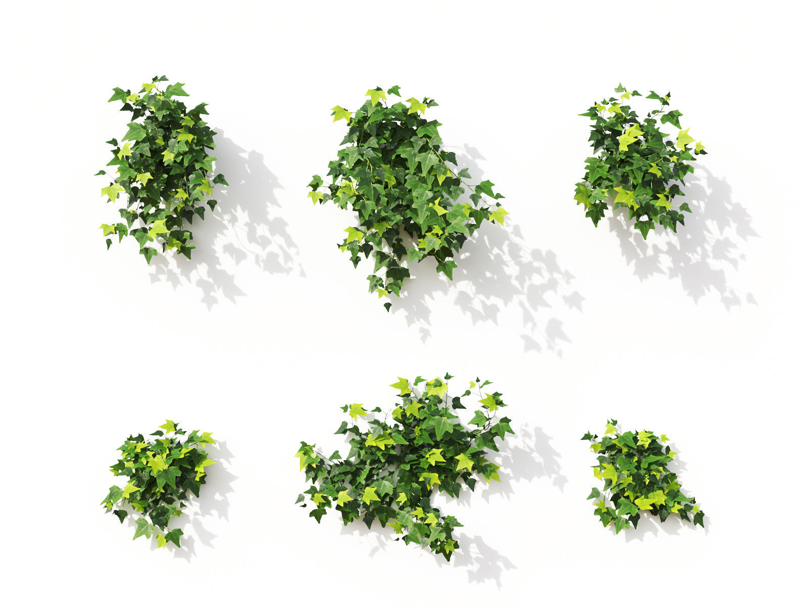 Green wall Collection - Include GrowFX and Mesh file 3D model_23