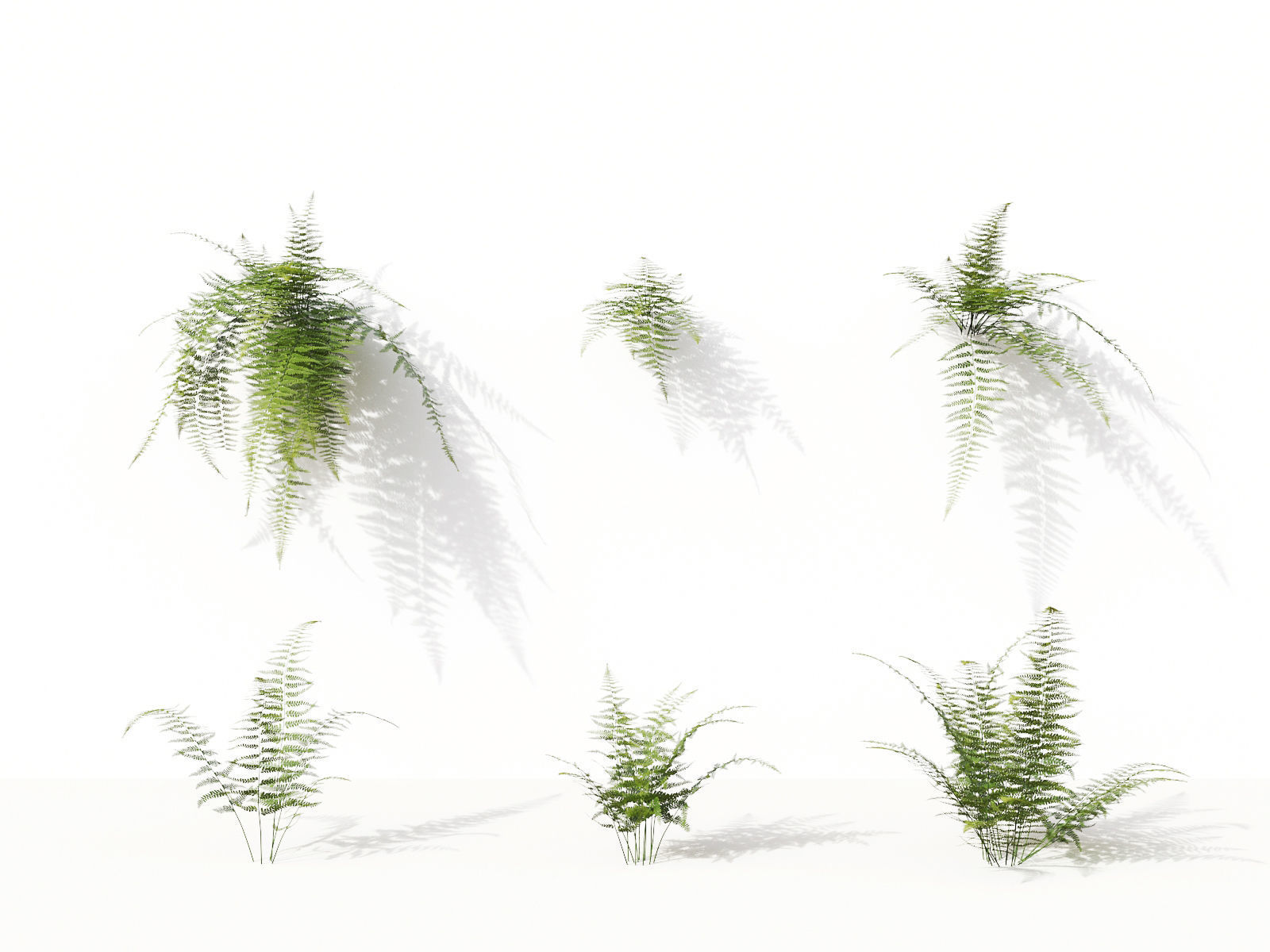 Green wall Collection - Include GrowFX and Mesh file 3D model_42