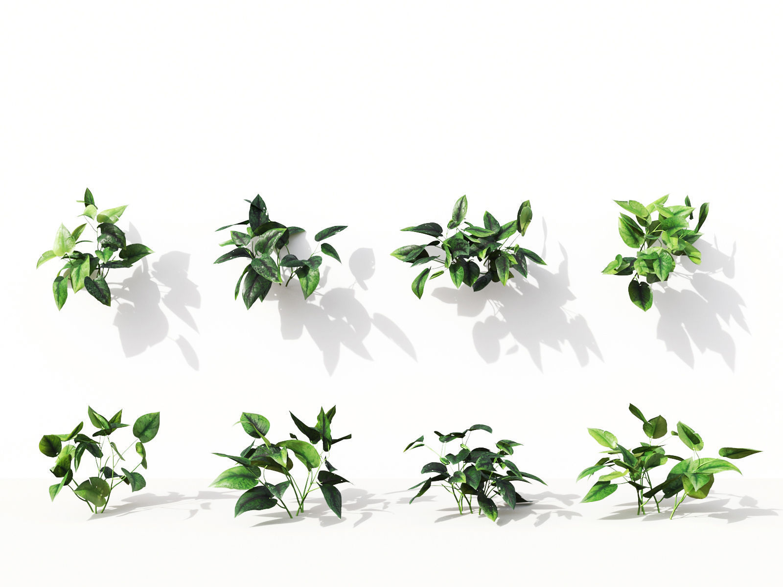 Green wall Collection - Include GrowFX and Mesh file 3D model_31