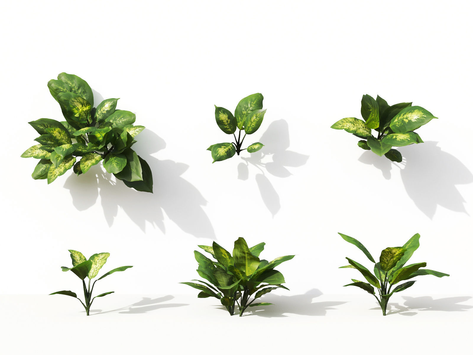Green wall Collection - Include GrowFX and Mesh file 3D model_8