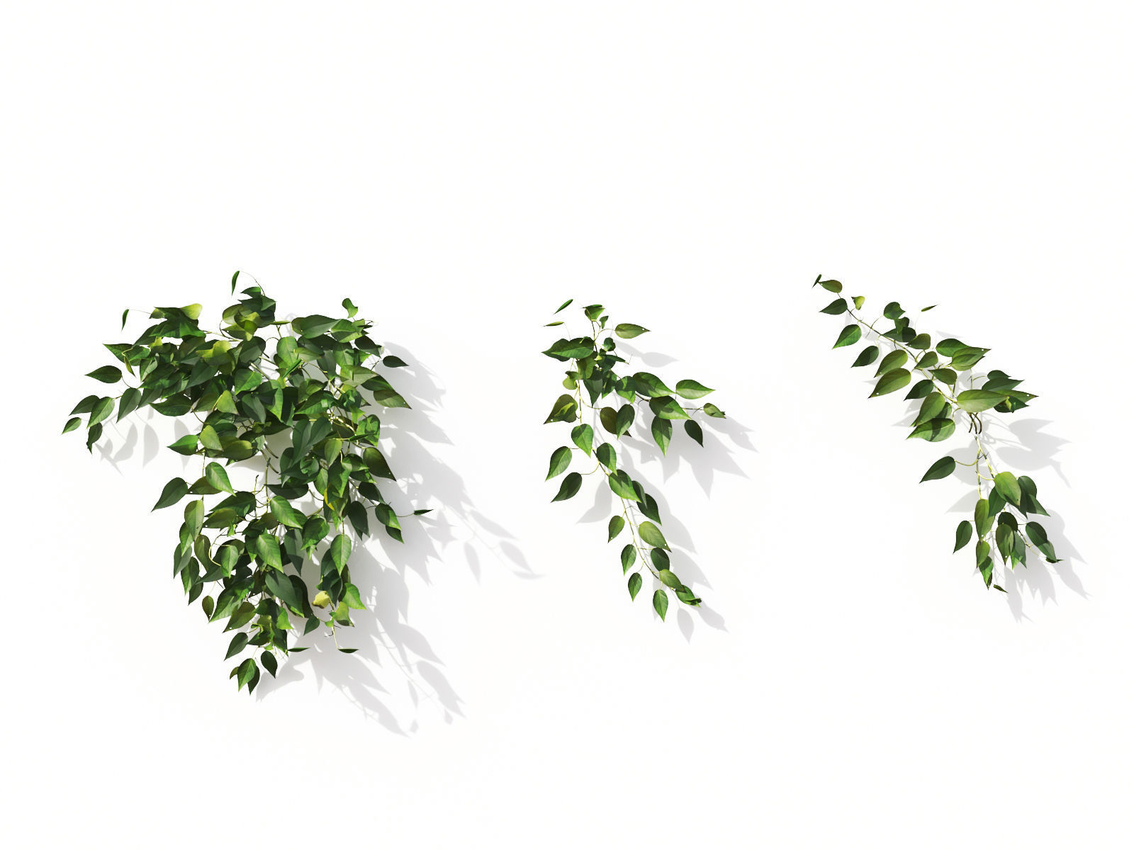 Green wall Collection - Include GrowFX and Mesh file 3D model_16