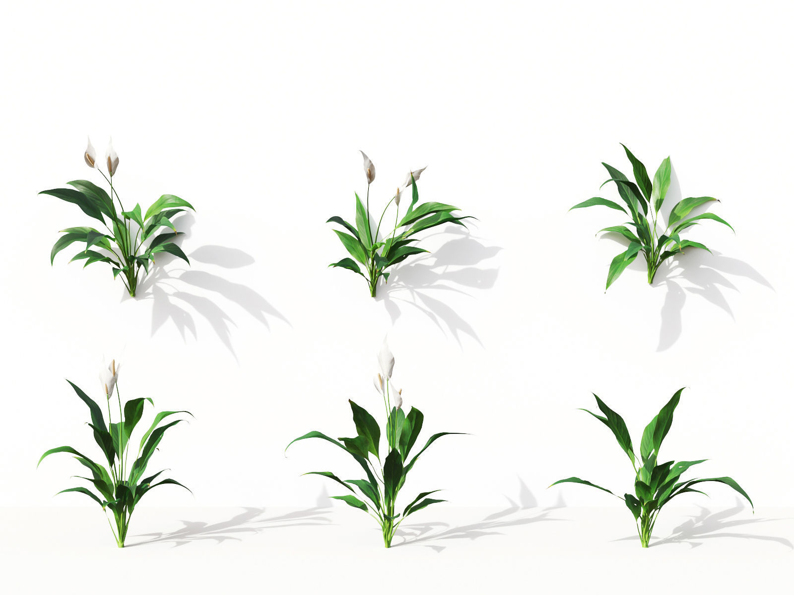 Green wall Collection - Include GrowFX and Mesh file 3D model_32