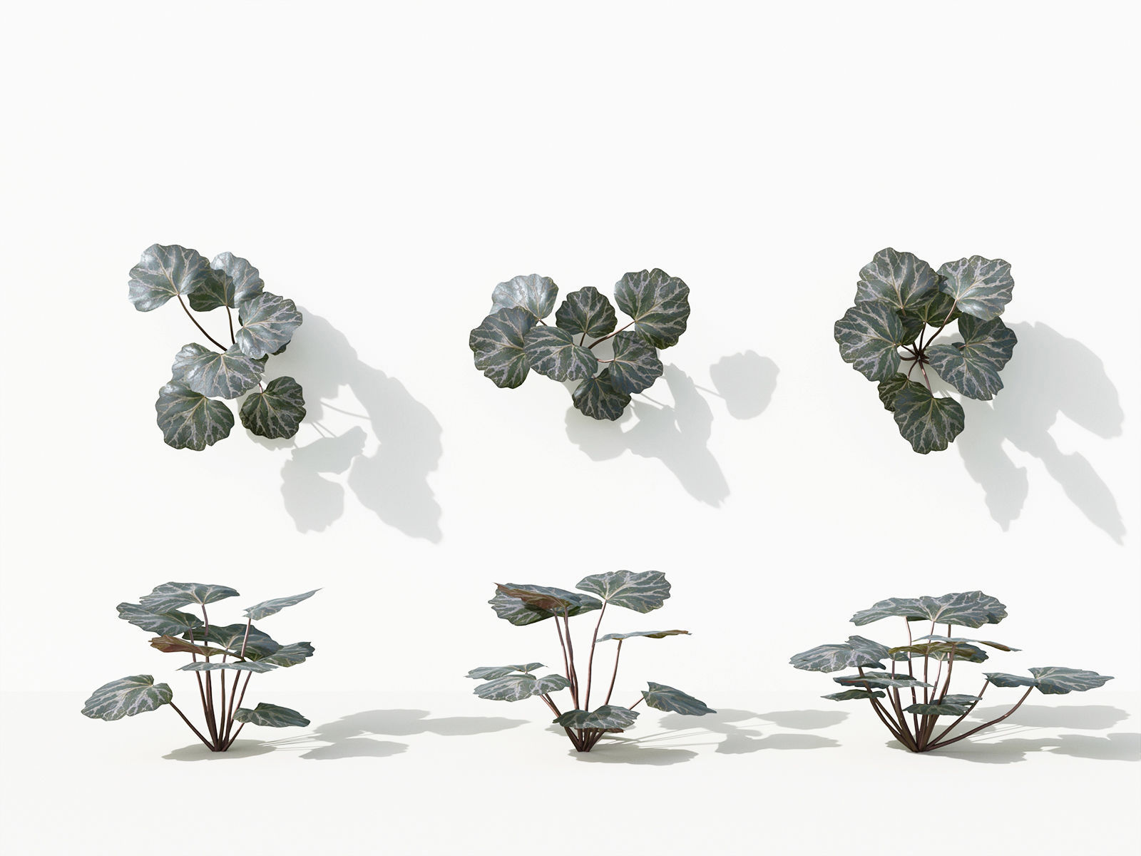 Green wall Collection - Include GrowFX and Mesh file 3D model_39