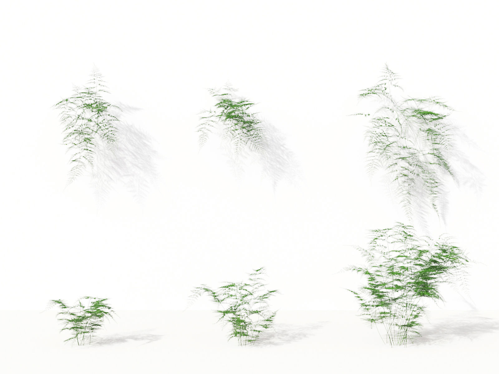 Green wall Collection - Include GrowFX and Mesh file 3D model_3