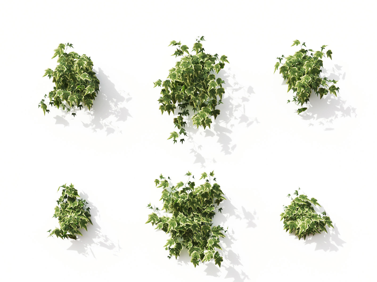 Green wall Collection - Include GrowFX and Mesh file 3D model_22