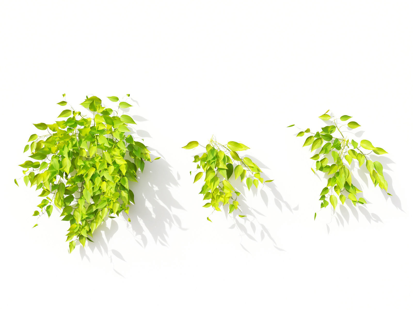 Green wall Collection - Include GrowFX and Mesh file 3D model_17