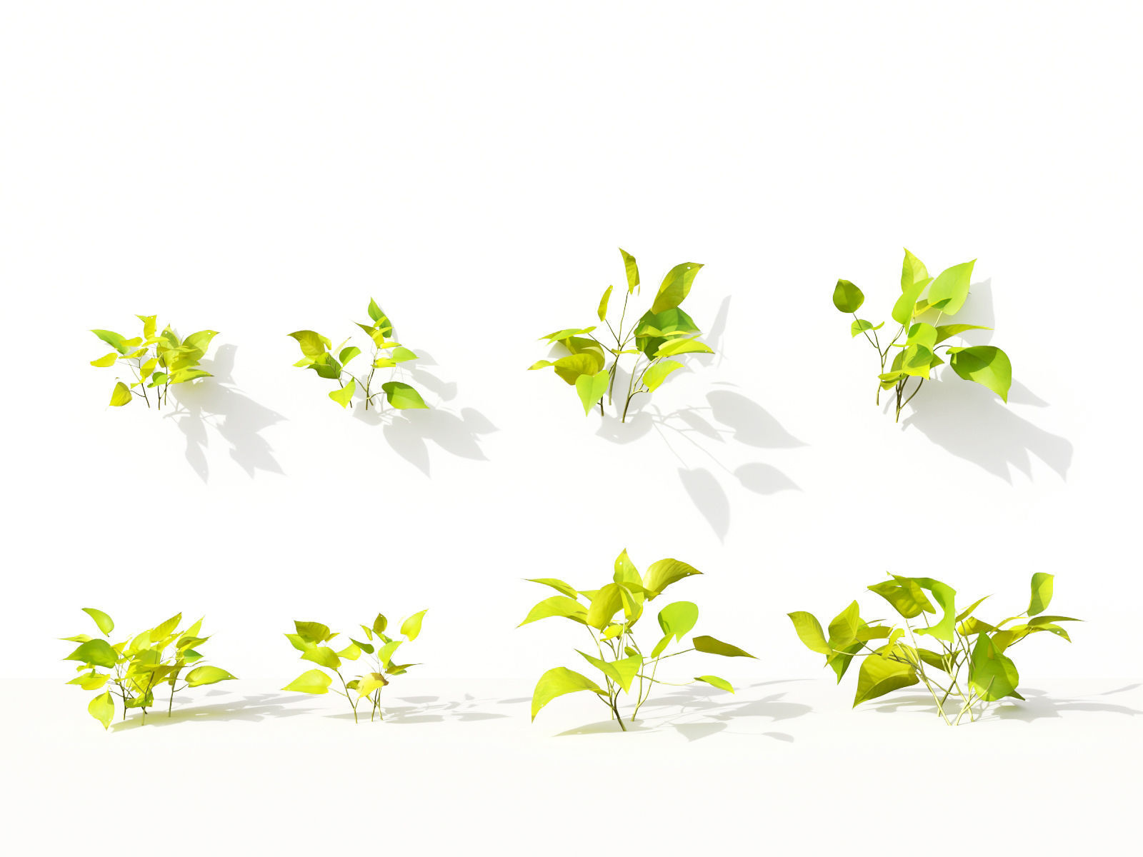 Green wall Collection - Include GrowFX and Mesh file 3D model_14