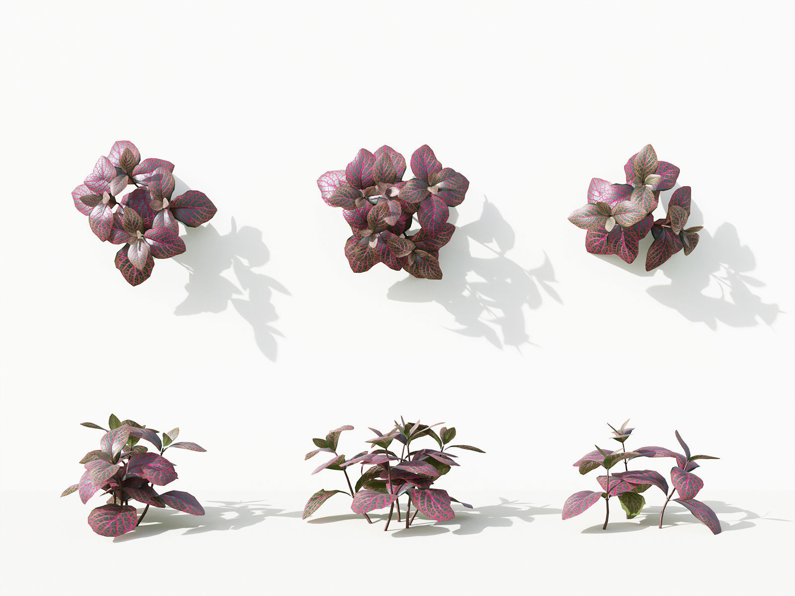 Green wall Collection - Include GrowFX and Mesh file 3D model_36