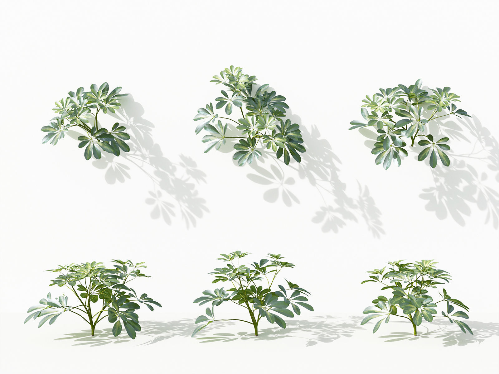 Green wall Collection - Include GrowFX and Mesh file 3D model_40