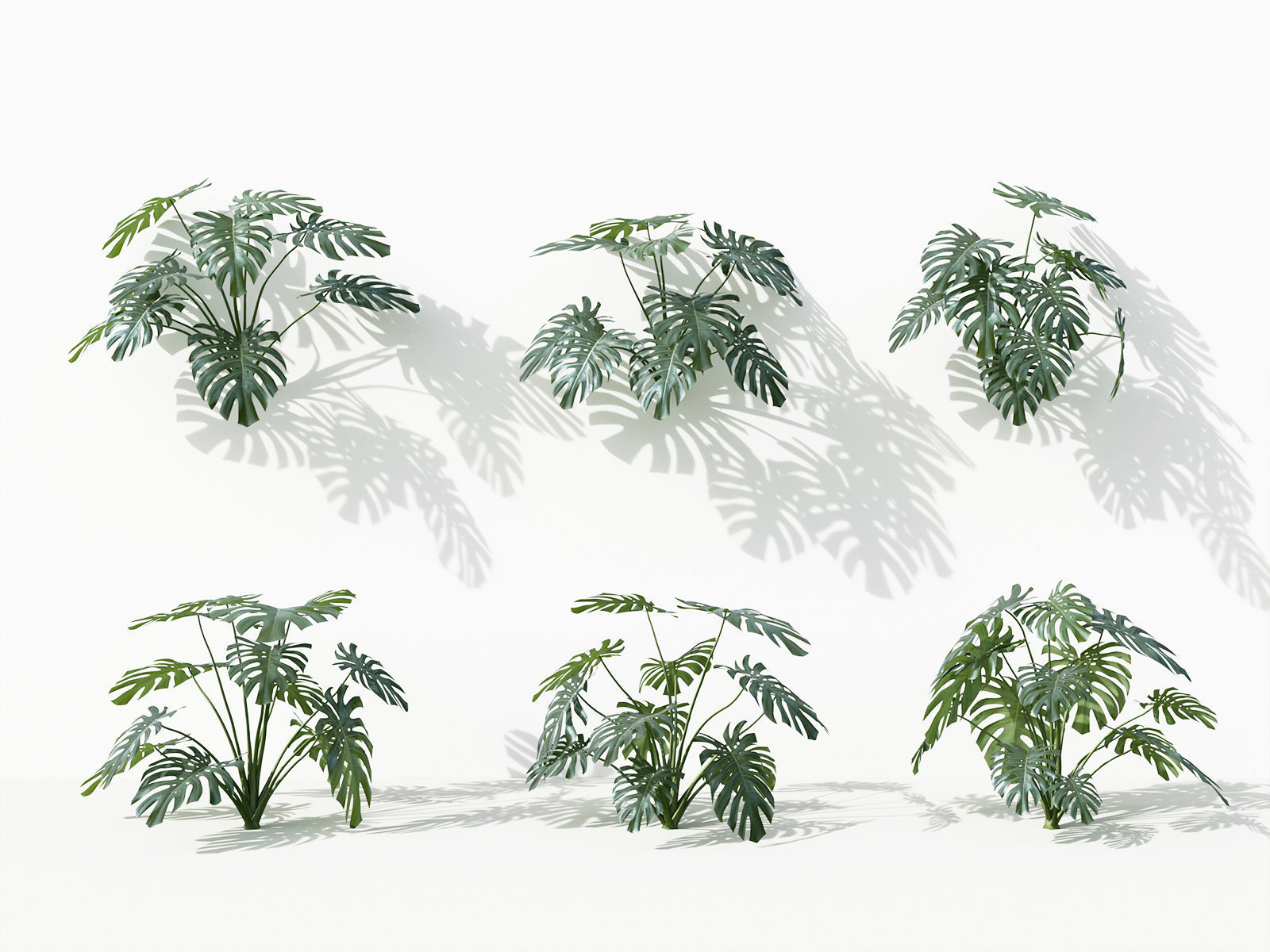 Green wall Collection - Include GrowFX and Mesh file 3D model_37