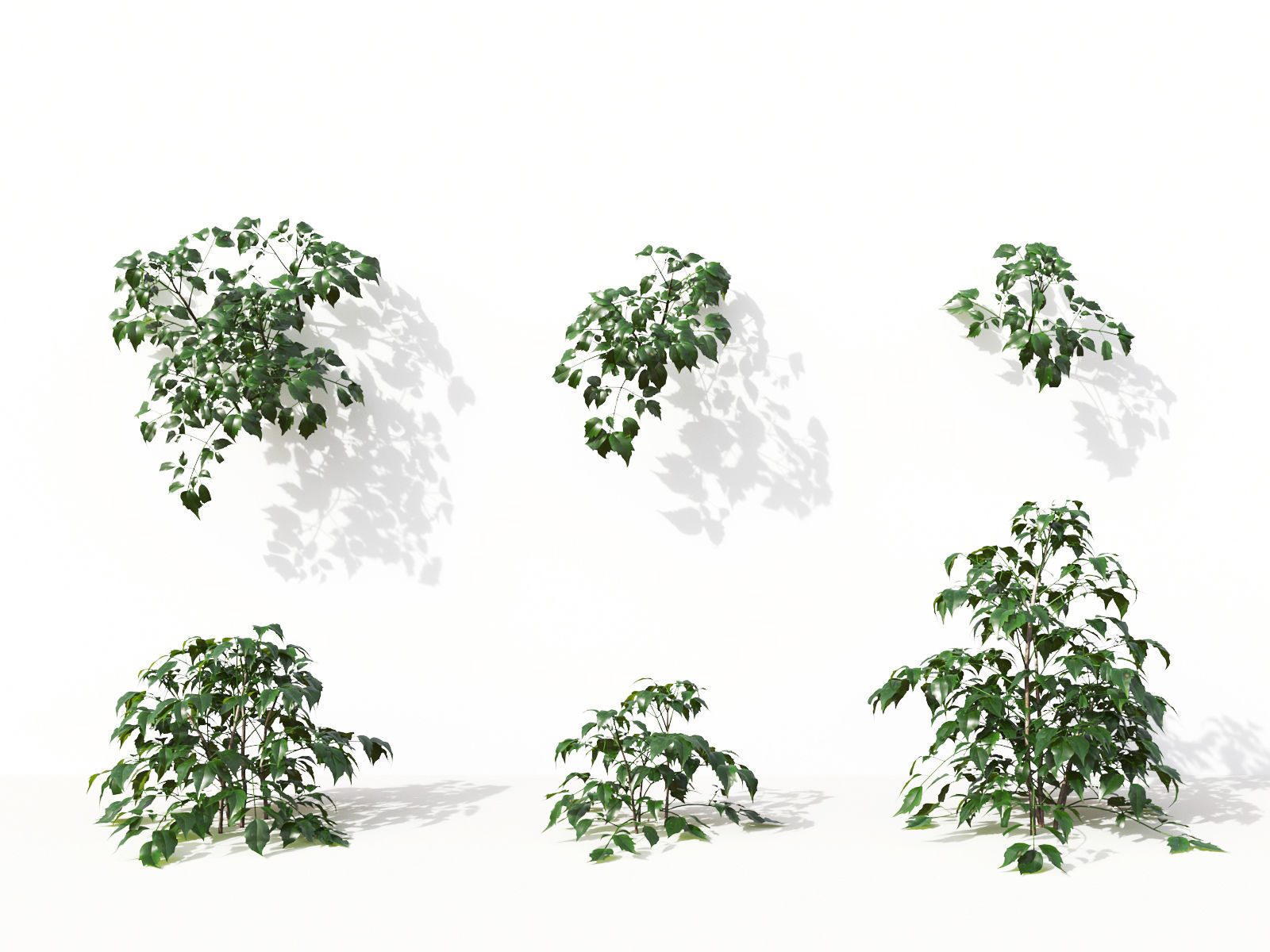 Green wall Collection - Include GrowFX and Mesh file 3D model_30