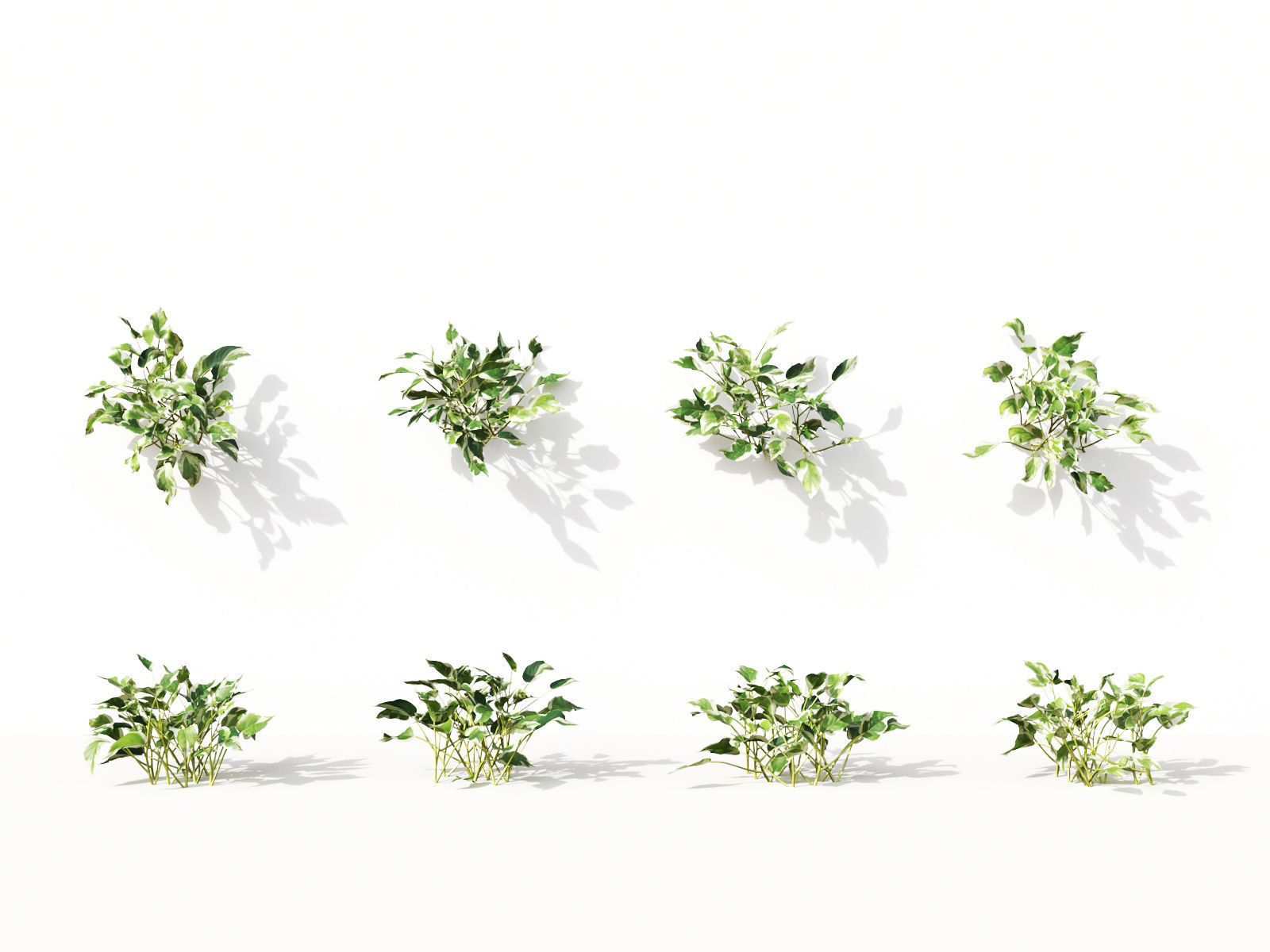 Green wall Collection - Include GrowFX and Mesh file 3D model_13