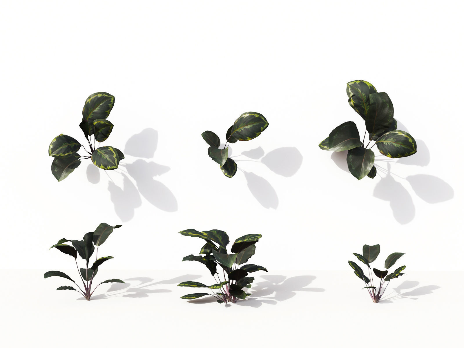 Green wall Collection - Include GrowFX and Mesh file 3D model_5