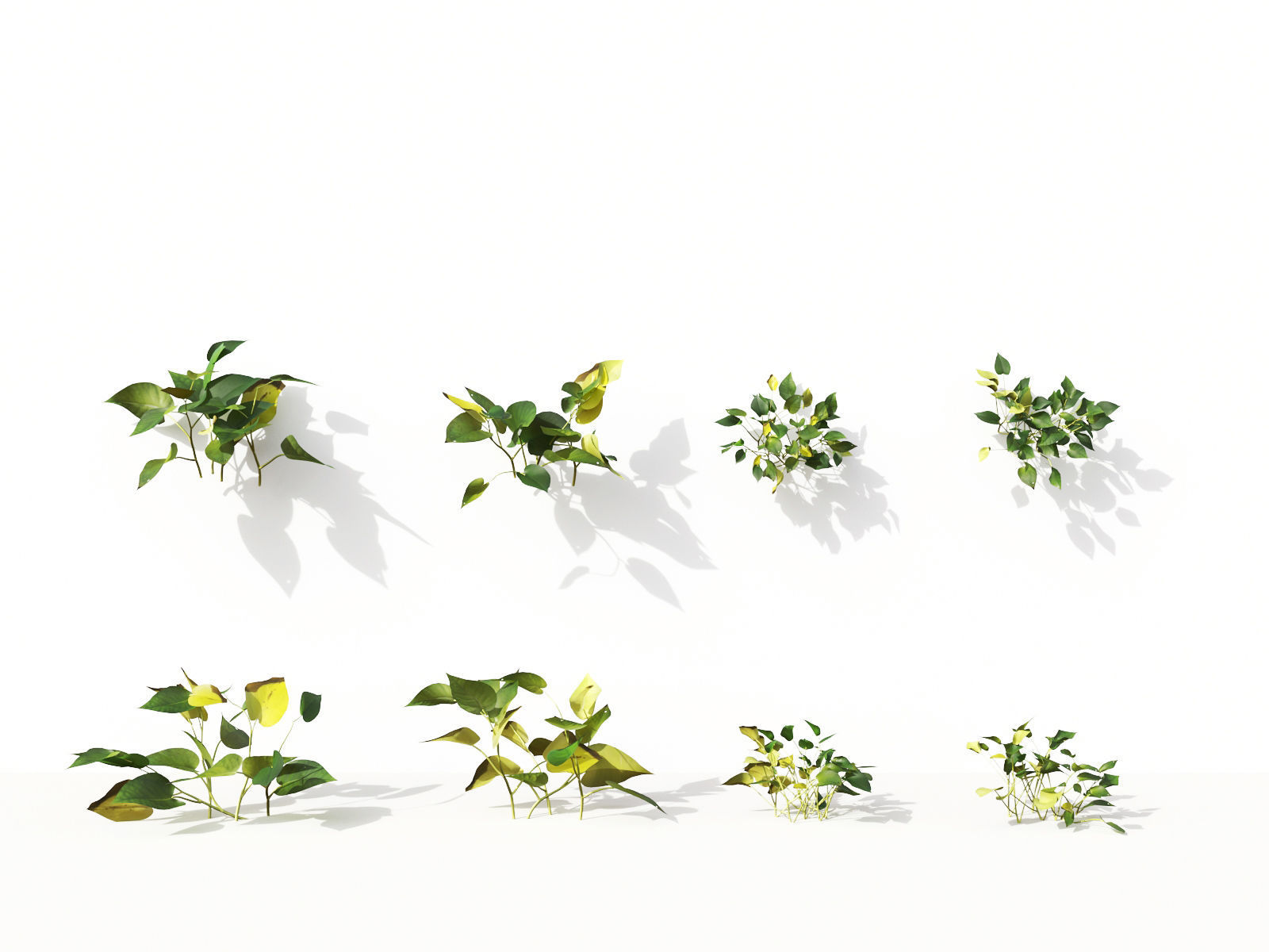 Green wall Collection - Include GrowFX and Mesh file 3D model_11