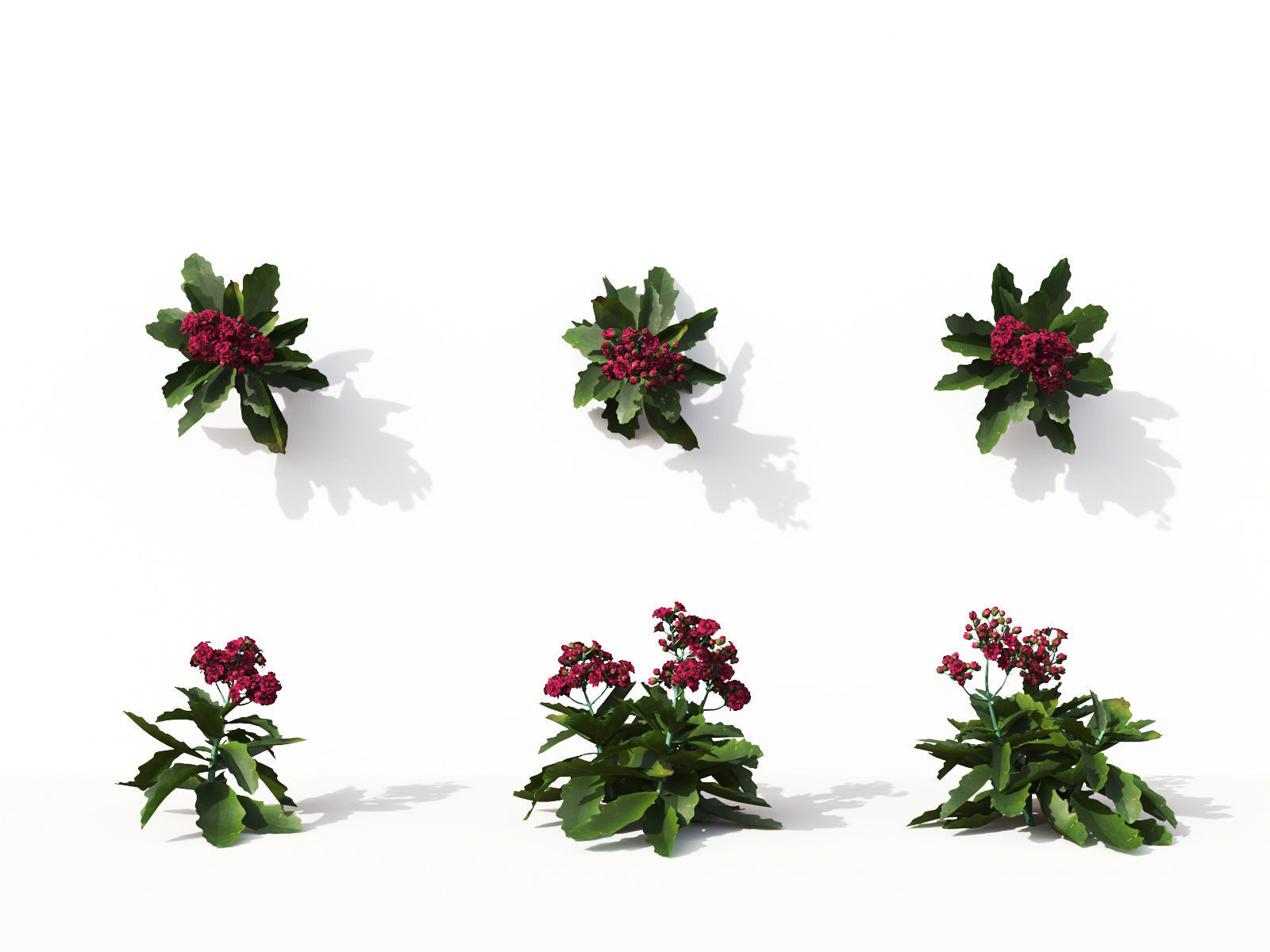 Green wall Collection - Include GrowFX and Mesh file 3D model_24