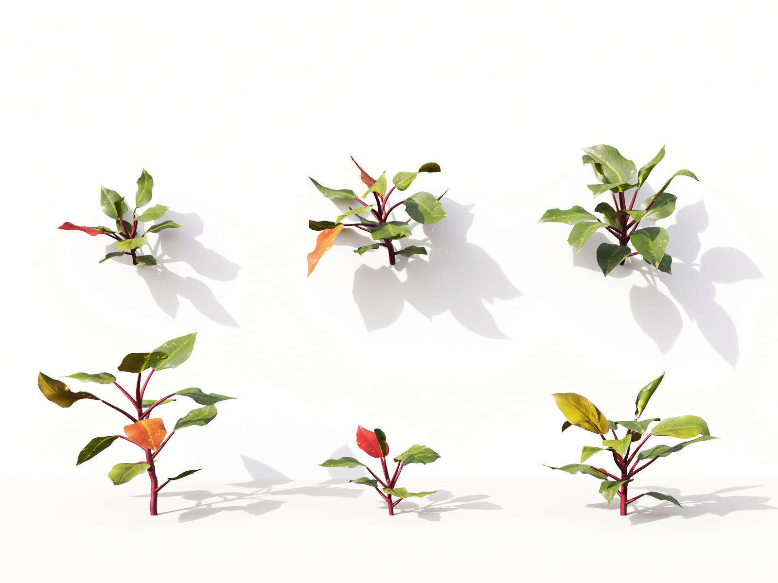 Green wall Collection - Include GrowFX and Mesh file 3D model_27