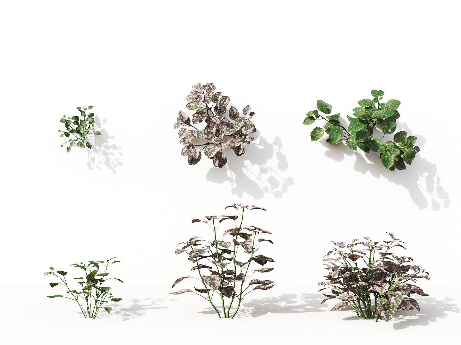 Green wall Collection - Include GrowFX and Mesh file 3D model_41