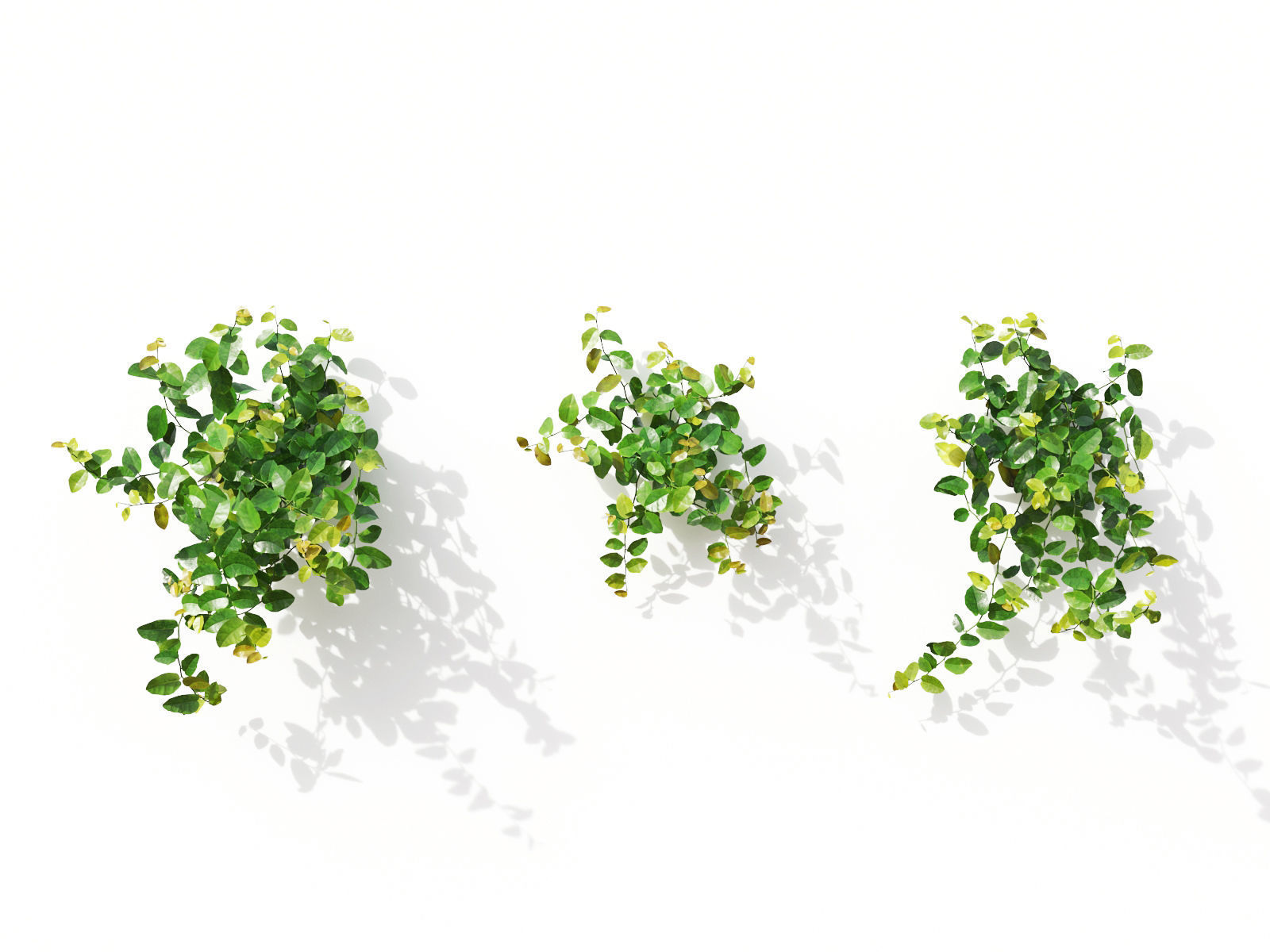 Green wall Collection - Include GrowFX and Mesh file 3D model_18