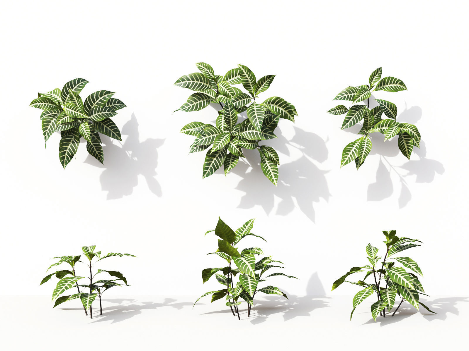 Green wall Collection - Include GrowFX and Mesh file 3D model_25