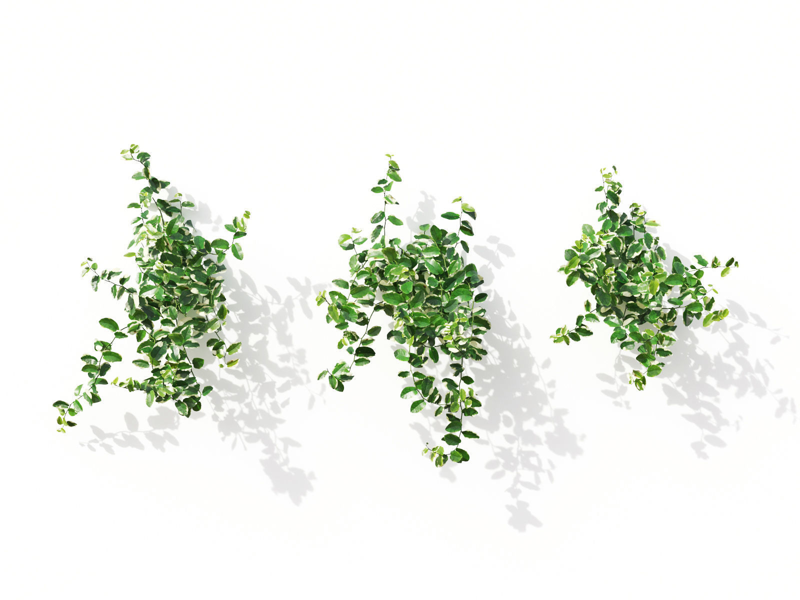 Green wall Collection - Include GrowFX and Mesh file 3D model_19