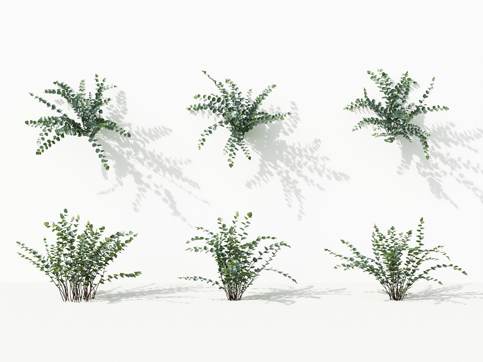 Green wall Collection - Include GrowFX and Mesh file 3D model_38