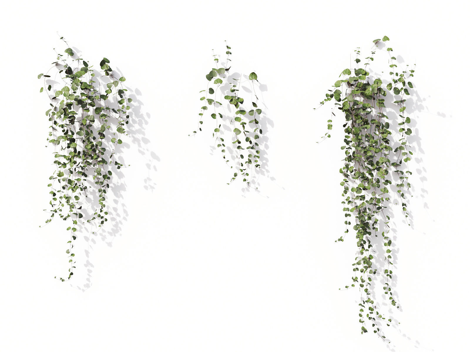 Green wall Collection - Include GrowFX and Mesh file 3D model_6