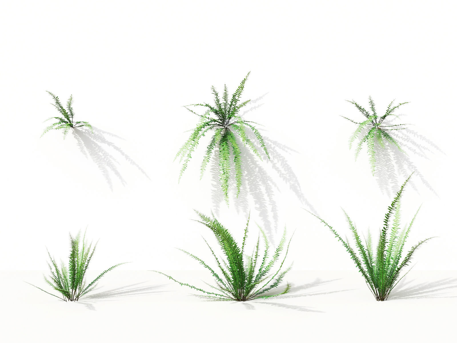 Green wall Collection - Include GrowFX and Mesh file 3D model_43