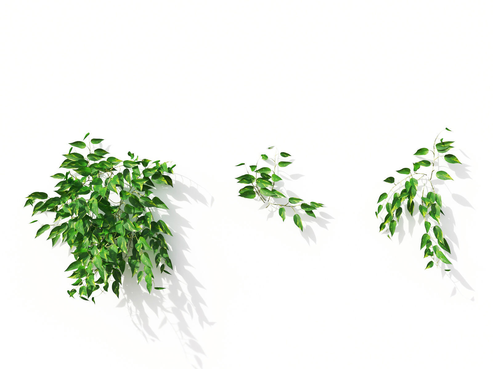 Green wall Collection - Include GrowFX and Mesh file 3D model_15