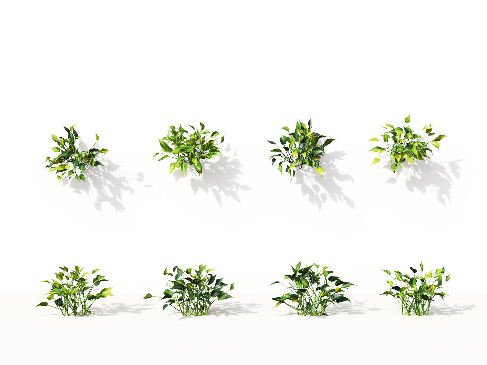 Green wall Collection - Include GrowFX and Mesh file 3D model_28