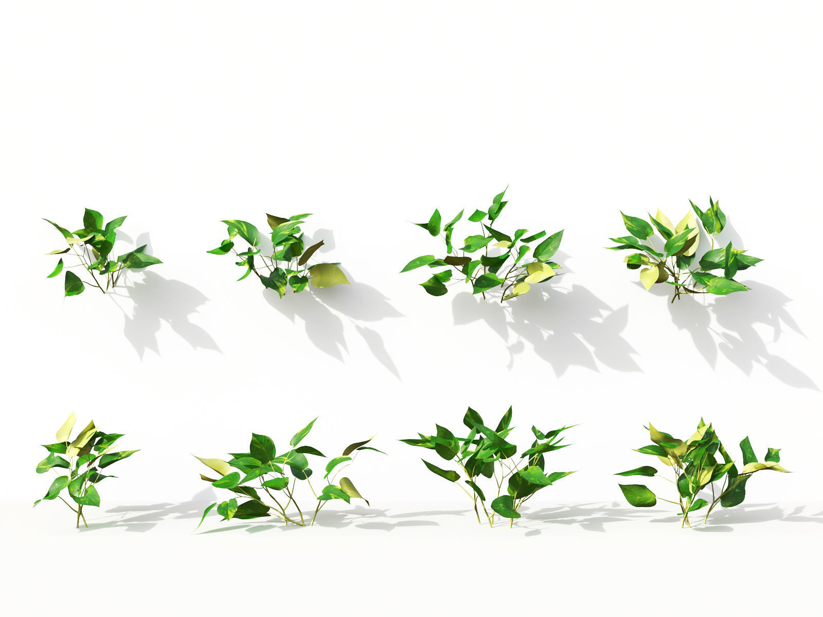 Green wall Collection - Include GrowFX and Mesh file 3D model_10