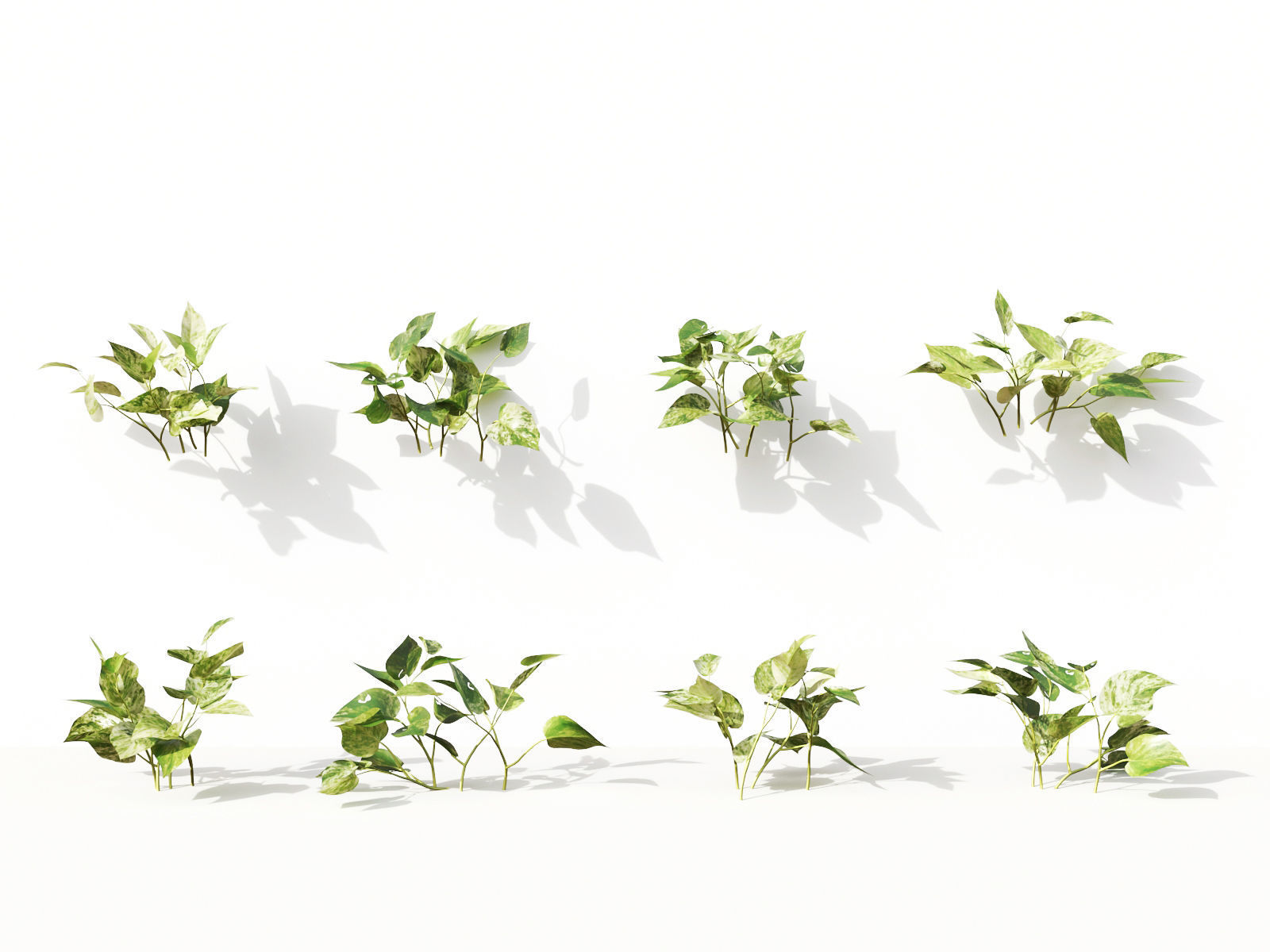 Green wall Collection - Include GrowFX and Mesh file 3D model_12