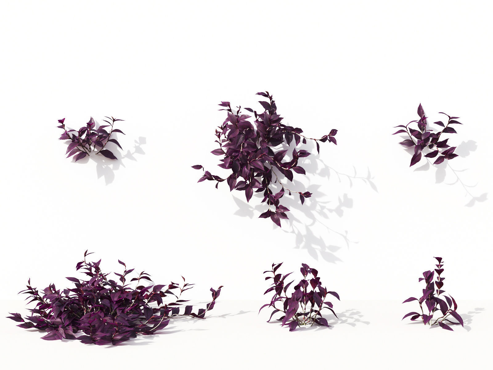 Green wall Collection - Include GrowFX and Mesh file 3D model_34